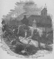 image49.gif (89910 bytes)