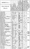 san10.gif (103734 bytes)