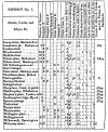 san17.gif (77107 bytes)