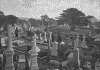 Highgate Cemetery - photograph