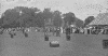 Ladies Driving Competition at the Ranelagh Club - photograph