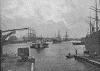 West India Dock - photograph