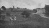 Wimbledon Common - photograph