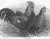 14c-fig1.gif (23663 bytes)