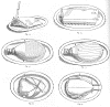 3-fig4.gif (62881 bytes)