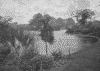 The Lake, Dulwich Park - photograph